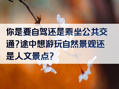 你是要自驾还是乘坐公共交通？途中想游玩自然景观还是人文景点？