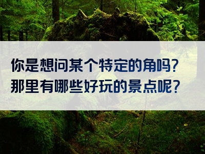 你是想问某个特定的角吗？那里有哪些好玩的景点呢？