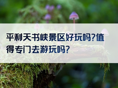 平利天书峡景区好玩吗？值得专门去游玩吗？