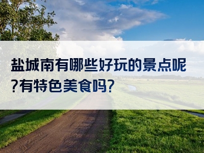 盐城南有哪些好玩的景点呢？有特色美食吗？