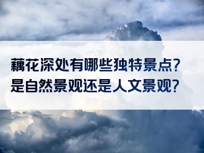 藕花深处有哪些独特景点？是自然景观还是人文景观？