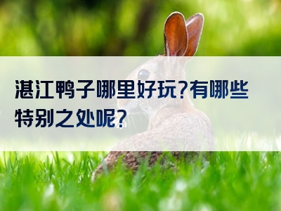 湛江鸭子哪里好玩？有哪些特别之处呢？