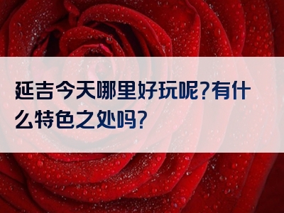 延吉今天哪里好玩呢？有什么特色之处吗？