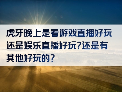 虎牙晚上是看游戏直播好玩还是娱乐直播好玩？还是有其他好玩的？