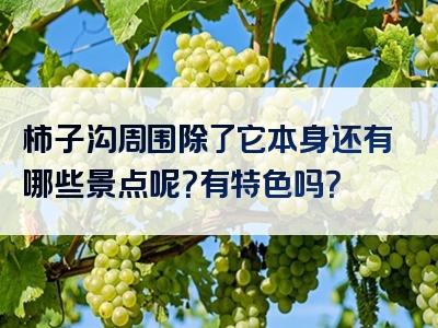 柿子沟周围除了它本身还有哪些景点呢？有特色吗？