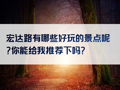 宏达路有哪些好玩的景点呢？你能给我推荐下吗？