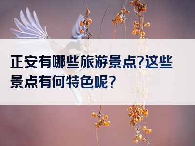 正安有哪些旅游景点？这些景点有何特色呢？