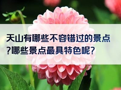 天山有哪些不容错过的景点？哪些景点最具特色呢？