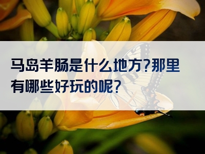 马岛羊肠是什么地方？那里有哪些好玩的呢？