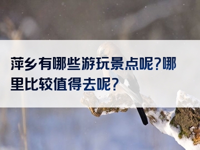 萍乡有哪些游玩景点呢？哪里比较值得去呢？