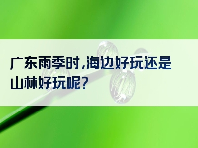 广东雨季时，海边好玩还是山林好玩呢？