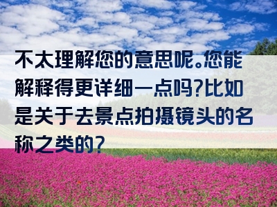 不太理解您的意思呢。您能解释得更详细一点吗？比如是关于去景点拍摄镜头的名称之类的？