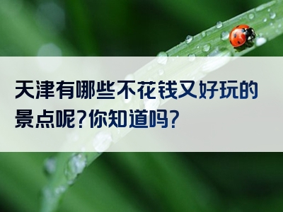 天津有哪些不花钱又好玩的景点呢？你知道吗？