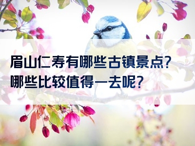 眉山仁寿有哪些古镇景点？哪些比较值得一去呢？