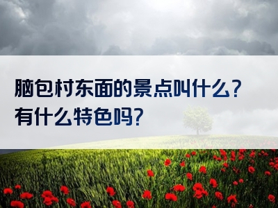 脑包村东面的景点叫什么？有什么特色吗？