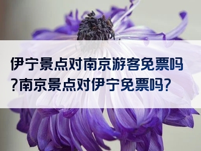 伊宁景点对南京游客免票吗？南京景点对伊宁免票吗？