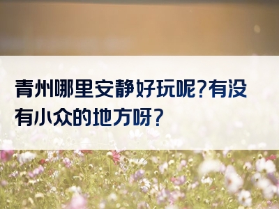 青州哪里安静好玩呢？有没有小众的地方呀？