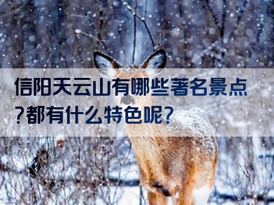 信阳天云山有哪些著名景点？都有什么特色呢？