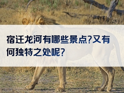 宿迁龙河有哪些景点？又有何独特之处呢？