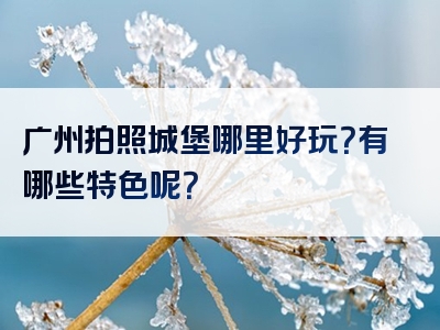 广州拍照城堡哪里好玩？有哪些特色呢？