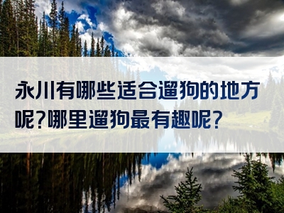 永川有哪些适合遛狗的地方呢？哪里遛狗最有趣呢？