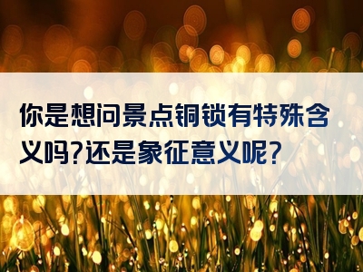 你是想问景点铜锁有特殊含义吗？还是象征意义呢？