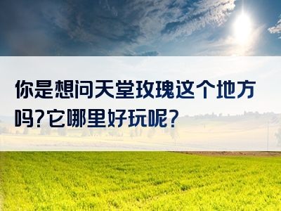 你是想问天堂玫瑰这个地方吗？它哪里好玩呢？