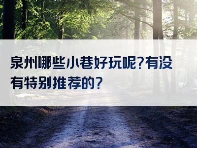 泉州哪些小巷好玩呢？有没有特别推荐的？