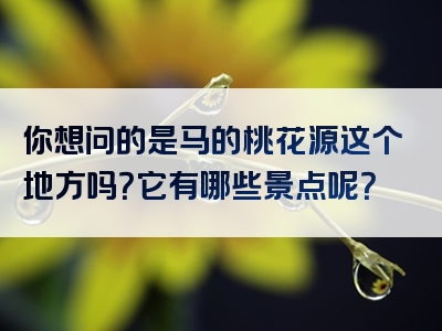 你想问的是马的桃花源这个地方吗？它有哪些景点呢？