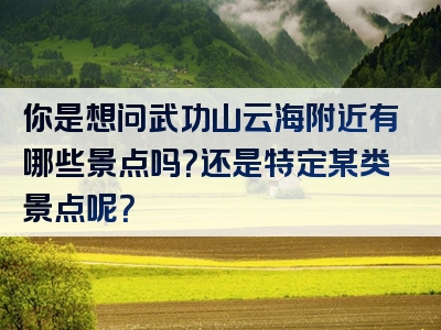 你是想问武功山云海附近有哪些景点吗？还是特定某类景点呢？