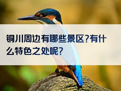 铜川周边有哪些景区？有什么特色之处呢？