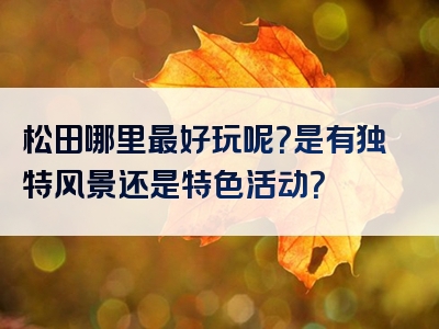 松田哪里最好玩呢？是有独特风景还是特色活动？