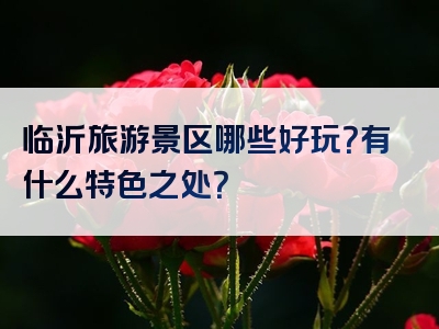 临沂旅游景区哪些好玩？有什么特色之处？