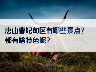 唐山曹妃甸区有哪些景点？都有啥特色呢？