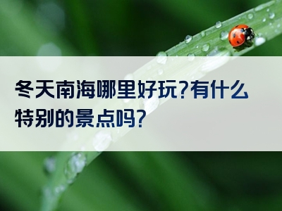 冬天南海哪里好玩？有什么特别的景点吗？