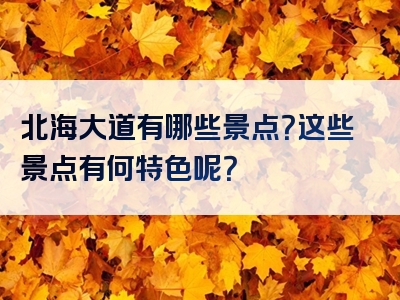 北海大道有哪些景点？这些景点有何特色呢？