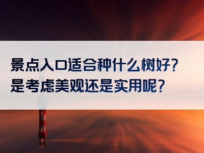 景点入口适合种什么树好？是考虑美观还是实用呢？