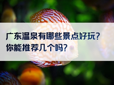 广东温泉有哪些景点好玩？你能推荐几个吗？