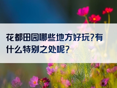 花都田园哪些地方好玩？有什么特别之处呢？