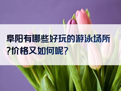 阜阳有哪些好玩的游泳场所？价格又如何呢？