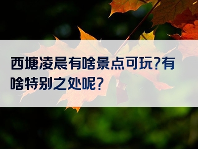 西塘凌晨有啥景点可玩？有啥特别之处呢？