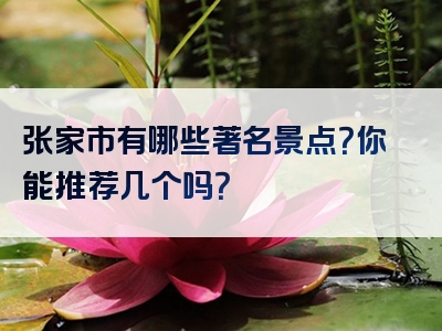 张家市有哪些著名景点？你能推荐几个吗？