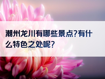 潮州龙川有哪些景点？有什么特色之处呢？