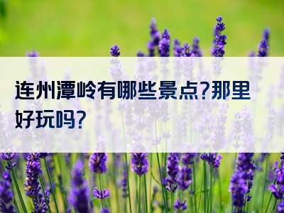连州潭岭有哪些景点？那里好玩吗？