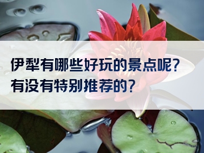 伊犁有哪些好玩的景点呢？有没有特别推荐的？