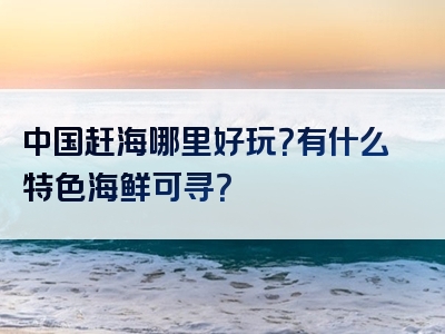 中国赶海哪里好玩？有什么特色海鲜可寻？