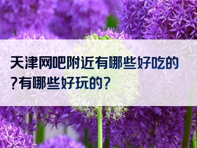 天津网吧附近有哪些好吃的？有哪些好玩的？