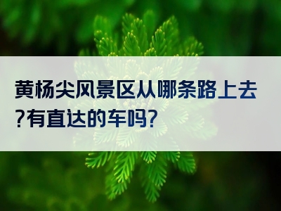 黄杨尖风景区从哪条路上去？有直达的车吗？