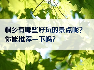 桐乡有哪些好玩的景点呢？你能推荐一下吗？