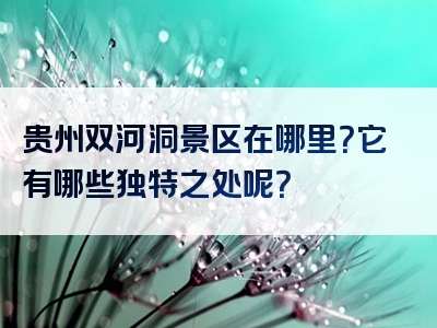 贵州双河洞景区在哪里？它有哪些独特之处呢？